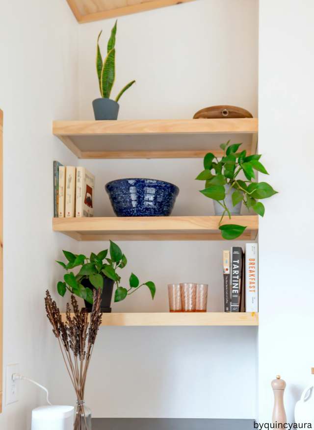A side table or shelf with cute small plants.
