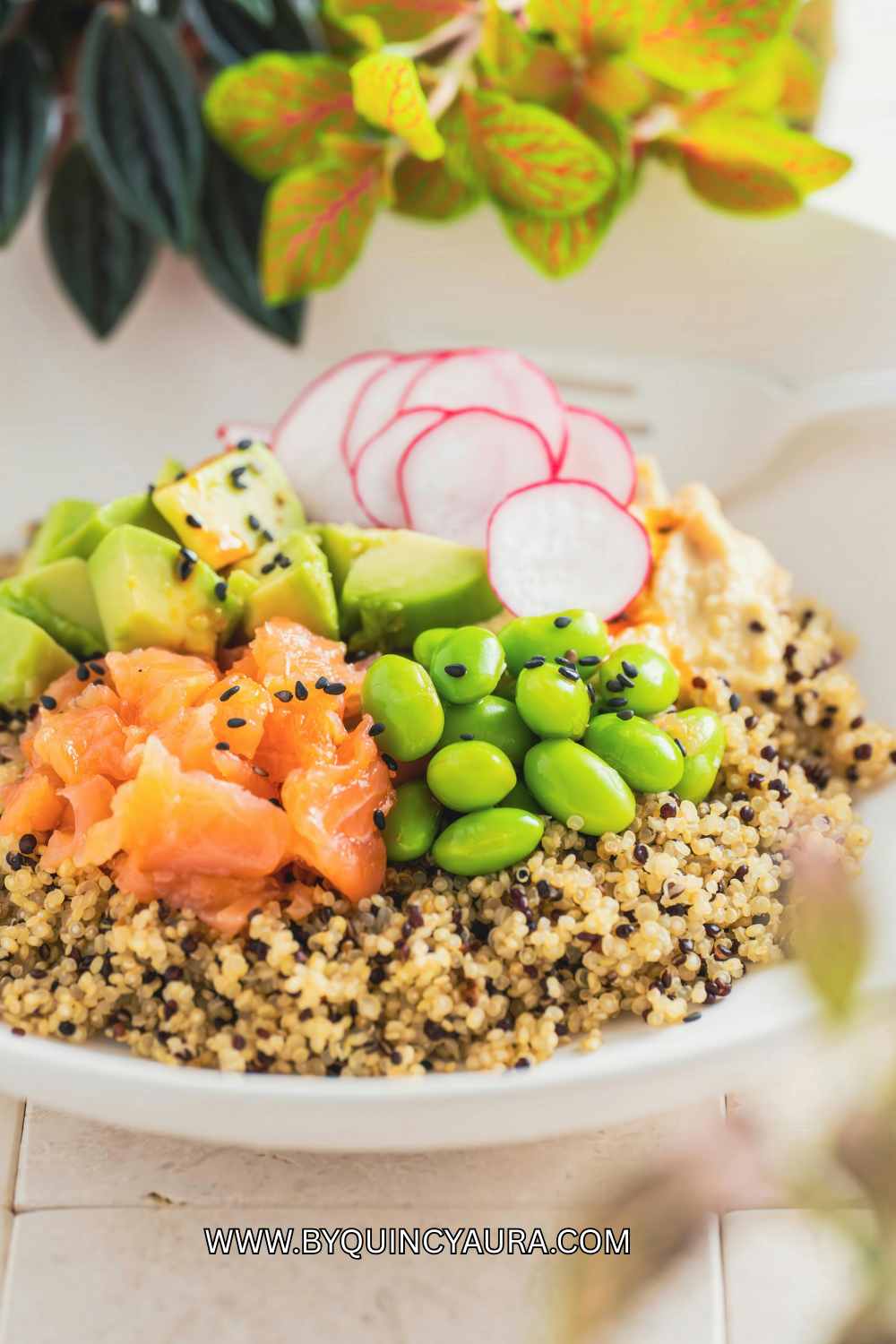 Salmon & Quinoa Bowl