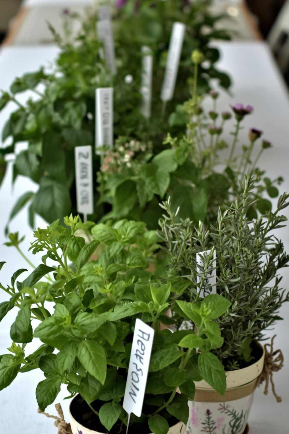 Herb Garden Table Centerpiece