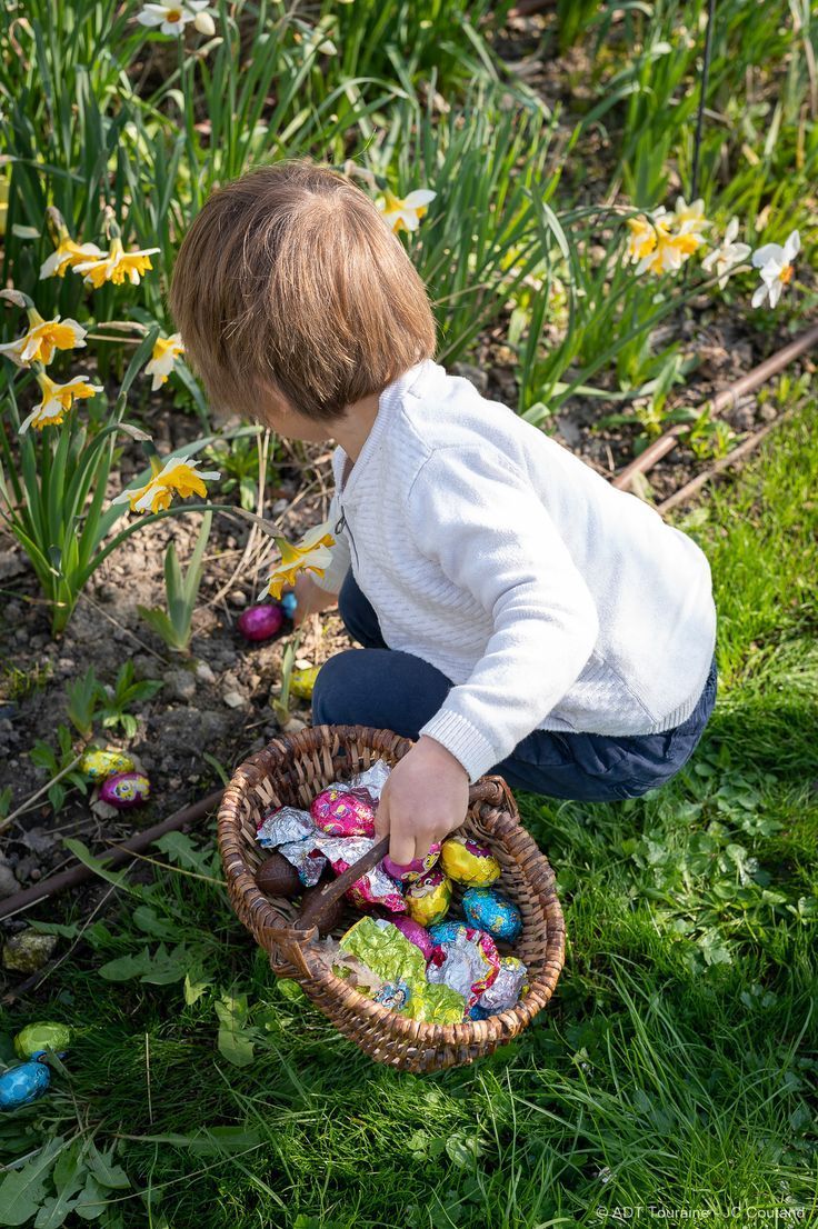 Bunny Easter Egg Hunt Clues