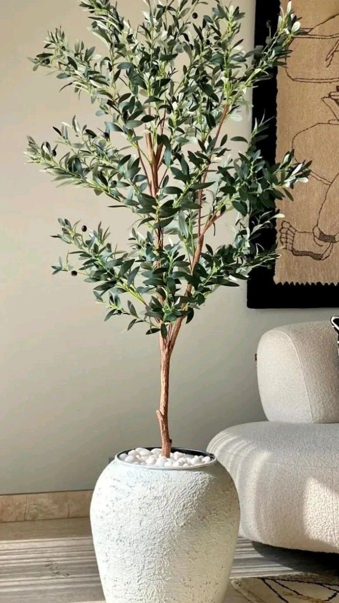A single tall plant in the corner