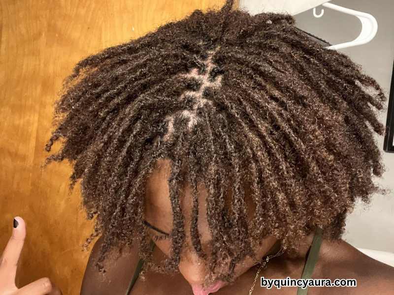 Micro Locs vs Sisterlocks vs Traditional Locs: Which Should You Choose?