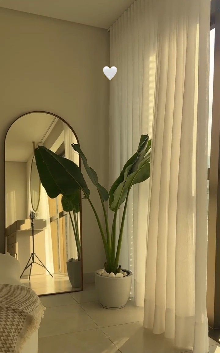 soft curtains