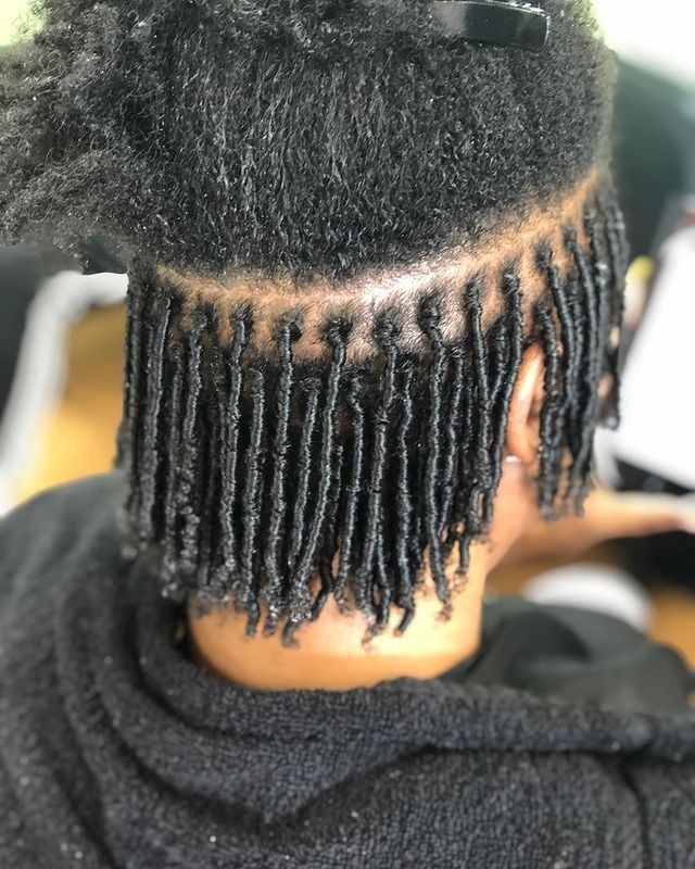starter locs