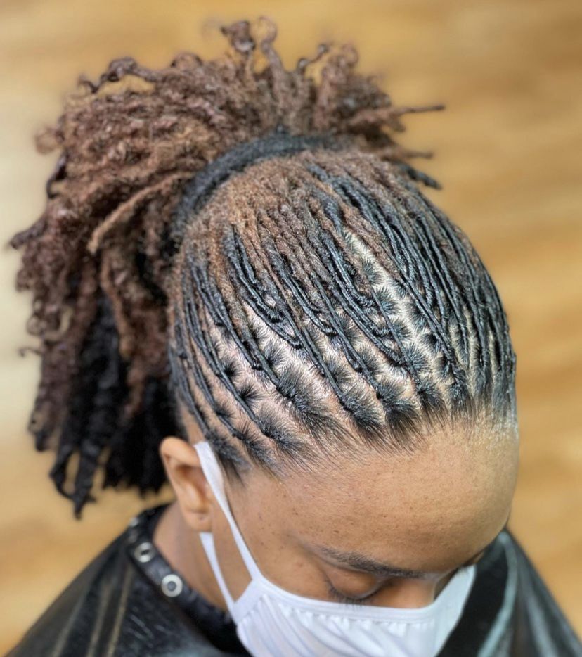 neat starter locs