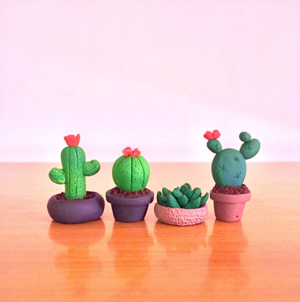Cactus Plant Pots