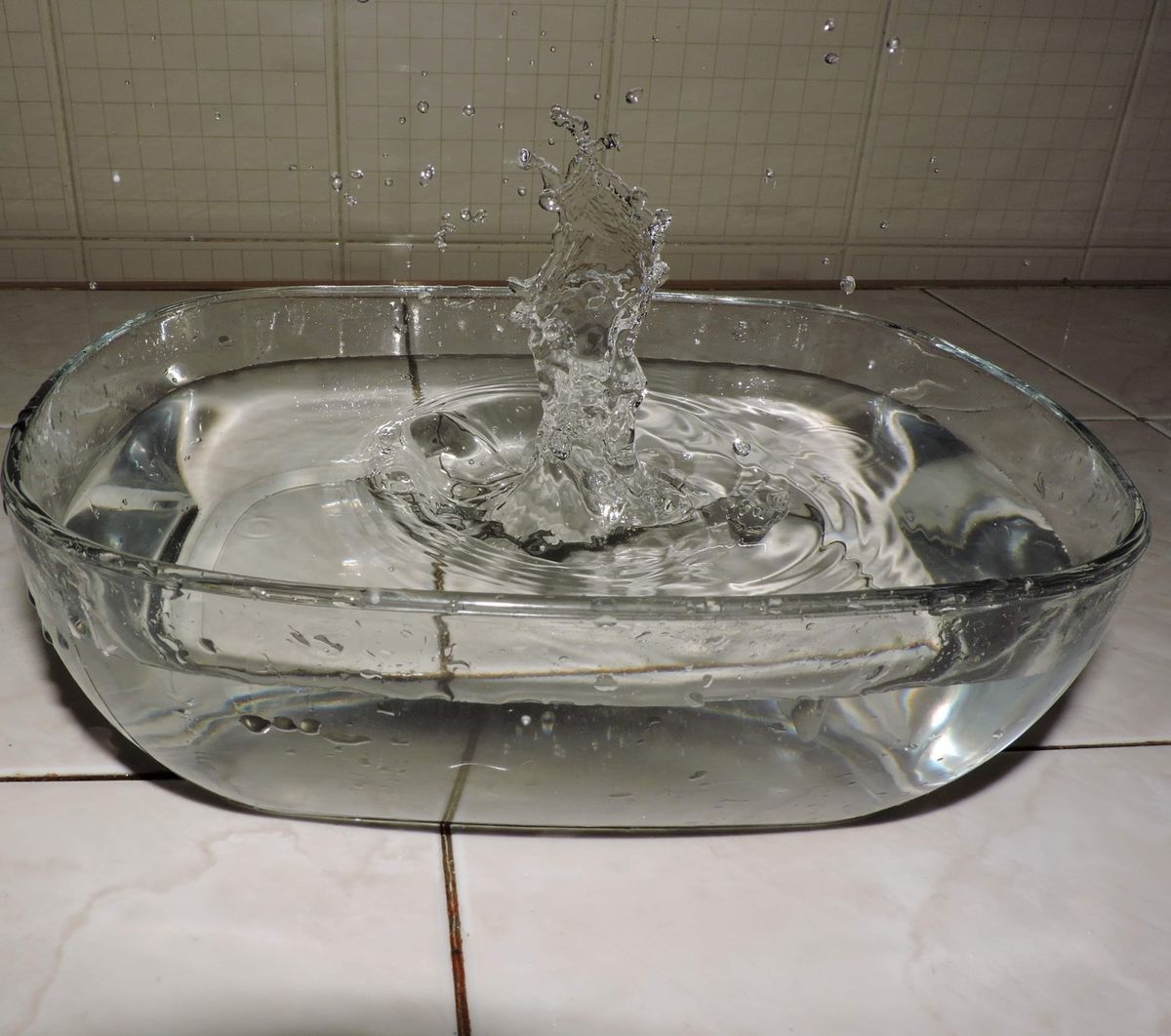 a bowl of water