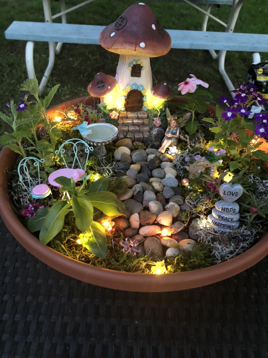 fairy garden