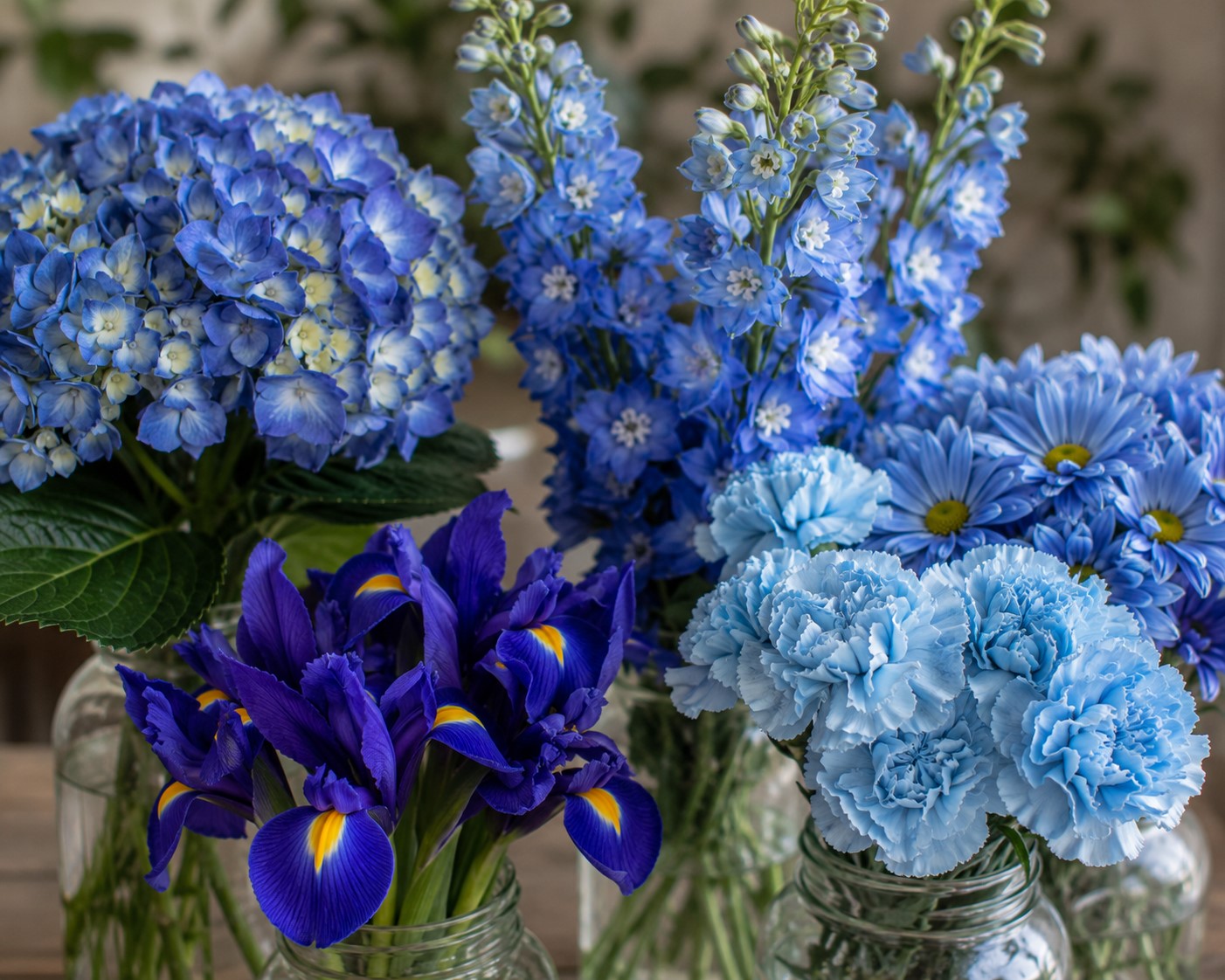 blue flowers