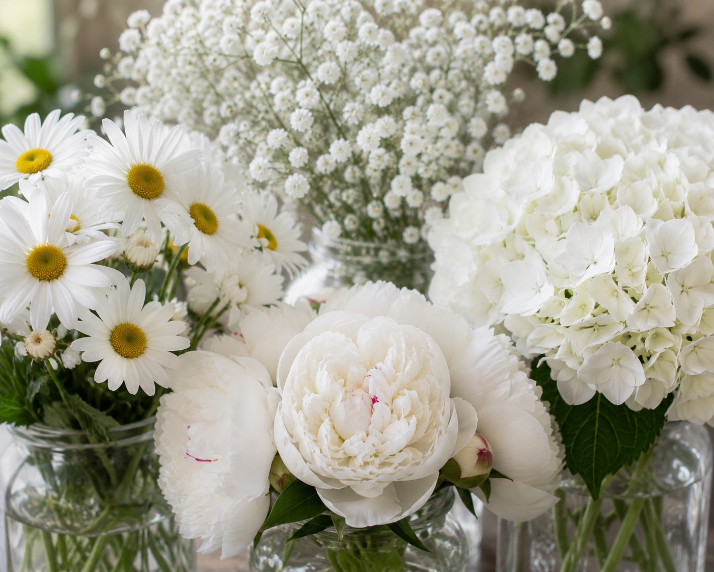 white flowers