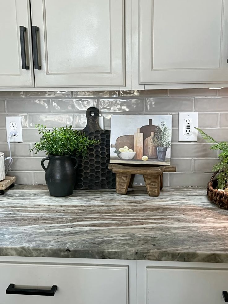 Plants on kitchen countertops