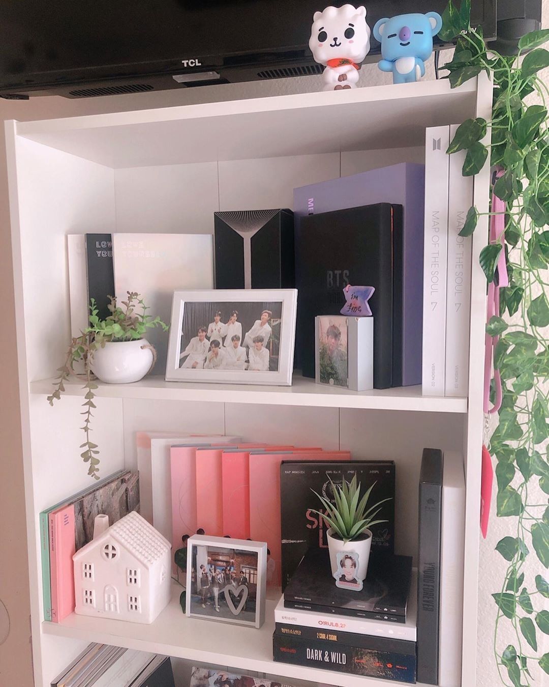 Mix BTS Collectibles With Small Plants