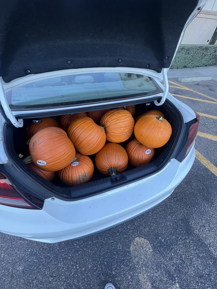 Keep Your Orange Pumpkins